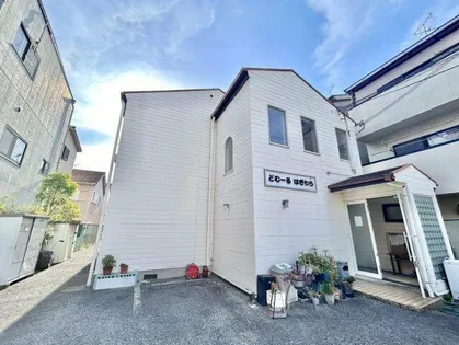 どむーるはぎわらの画像