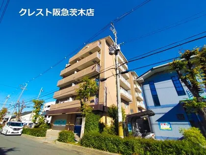 ルルーディ古川の画像