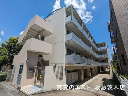 コンプリーションIの画像