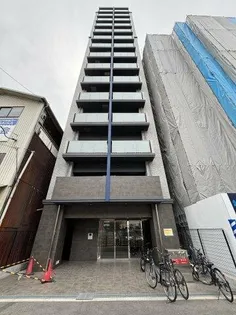 リヴィアスナンバクラスの画像