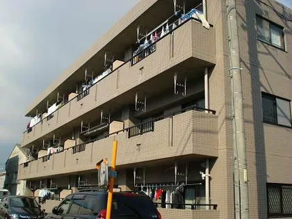 サン フォレストの画像