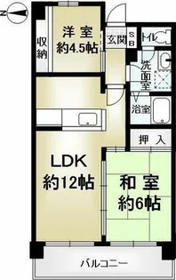 メイゾン桂東【5階】の間取り