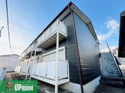 サープラスⅡ野菊の画像