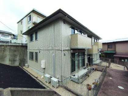 グレイスの画像