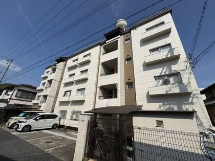 コーエイハイツの画像