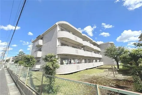 ドリーム梨花の画像