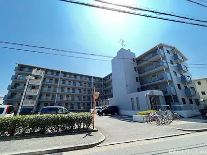 コート ザ ルピナスの画像