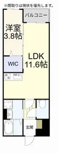 LIBERTY TAHARA【203号室】の間取り