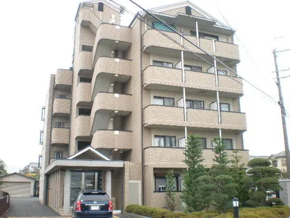 ニューサンライズの画像