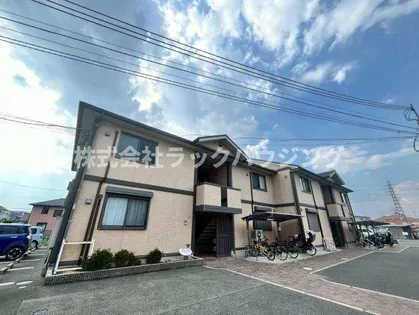 アムールの画像