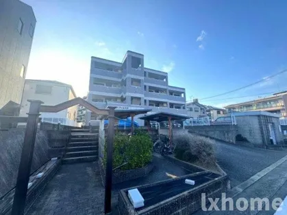 カサ フィエスタの画像