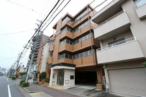PRIMIYELL MEISEIの画像