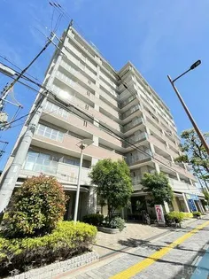 コプリーキタハナダの画像