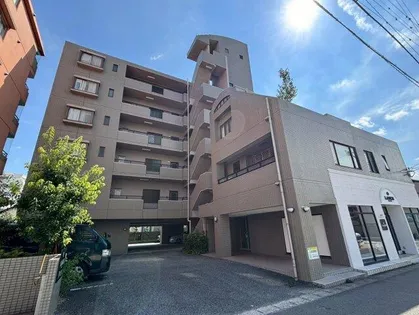 グリーンオークの画像