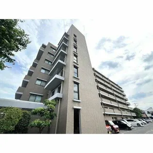 パン リーヴルの画像