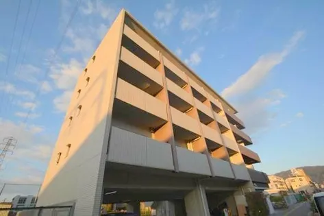 パレフルールの画像