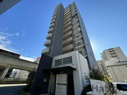 CRESTIEQ AYAの画像