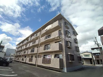 胡蝶羽根井【3階】の外観