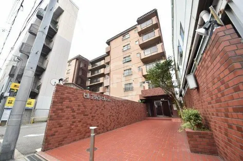 ヒルブリッジヒルNO 1の画像