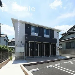 ムスカリの画像