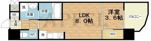 セレニテ福島アリア【11階】の間取り