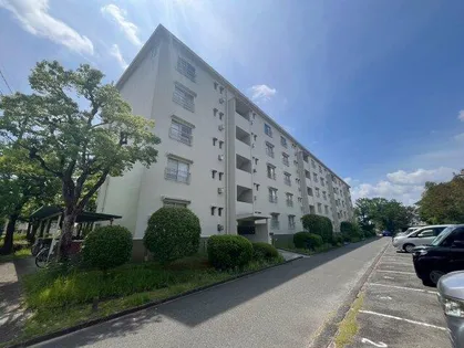 山田池住宅11号棟の画像