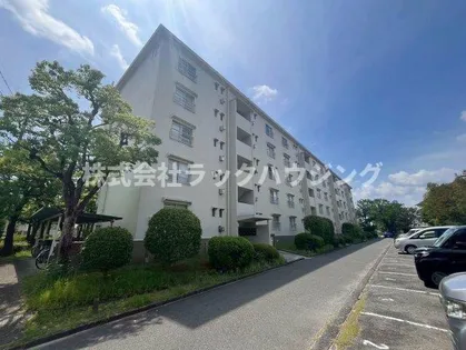 山田池住宅11号棟の画像