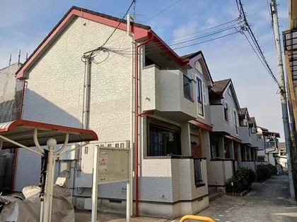 プリムローズの画像