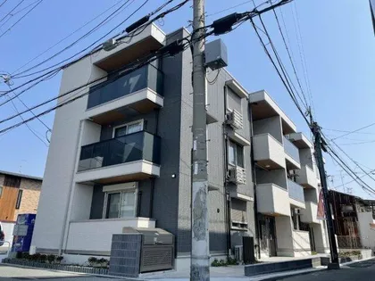 PINO SOLANA【3階】の外観