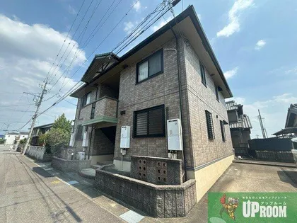 パラシオンの画像