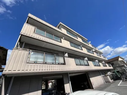 ヴィエント信和の画像