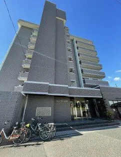 クレストサンシェルの画像