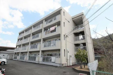 セゾン八尾東の画像