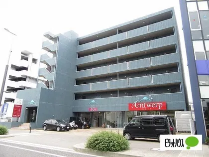 M'S GLOBAL PORTの画像