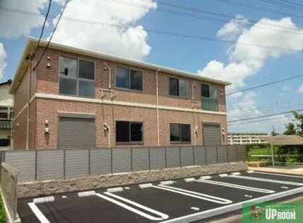 セレッソの画像