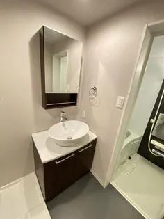 シュエット鳳(シュエットオオトリ)【203号室】の内装