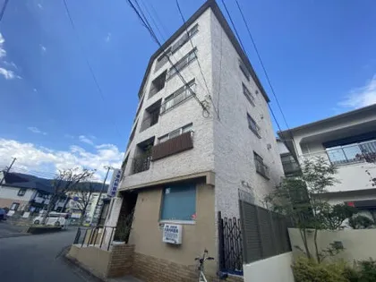 ボーン石刎の画像