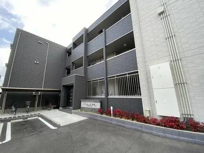 プリムローズ 佳音の画像