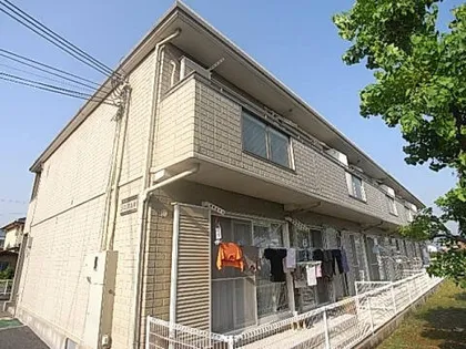 ソニア山本の画像