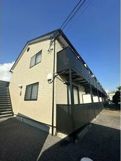 アンプルールリーブルリベルテの画像