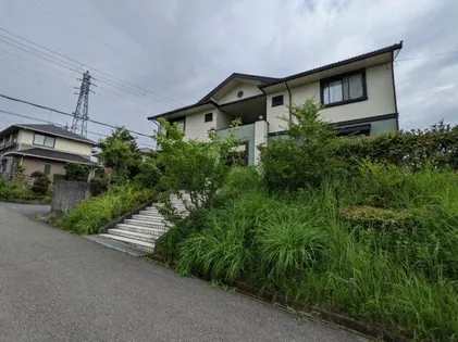 アベニール22の画像