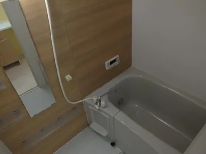 フォルトナ カーサ【1階】の風呂