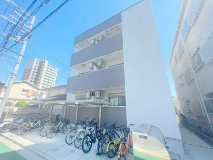 プランドール MSの画像