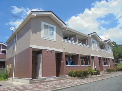 ゴールドパディーVIの画像