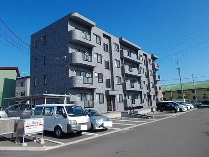 スピニッチ フィールドの画像