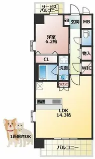 スプランディッド福島WEST【5階】の間取り