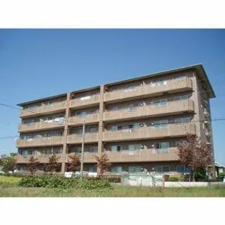 グレイスの画像