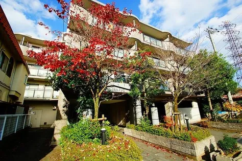 大谷グレイスハイツ2【211号室】の外観