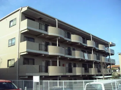 ピソ キタノの画像