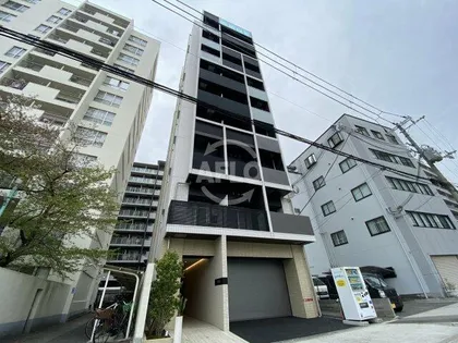 alex Kitahorie【7階】の外観